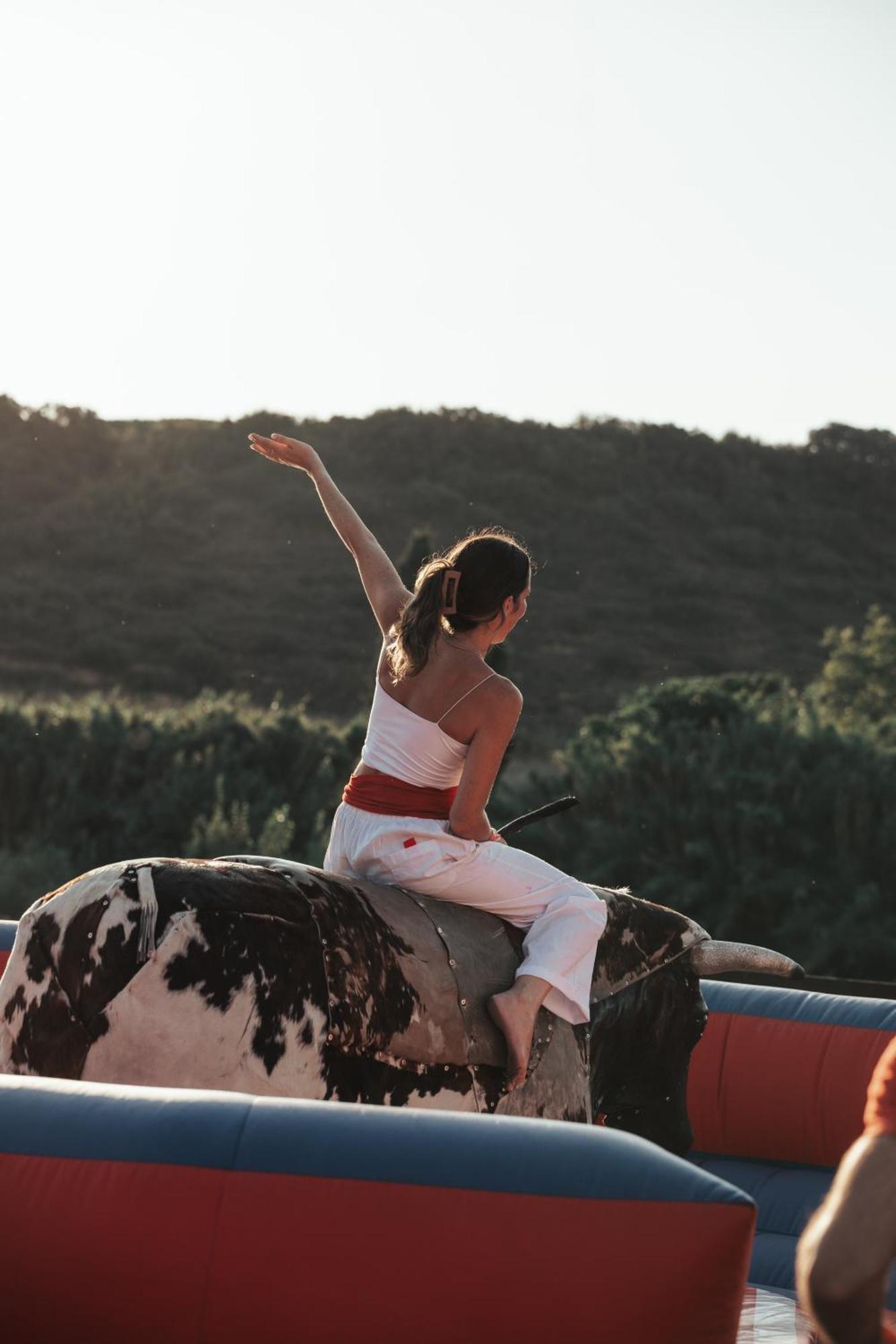 Running Of The Bulls * Pampelune
